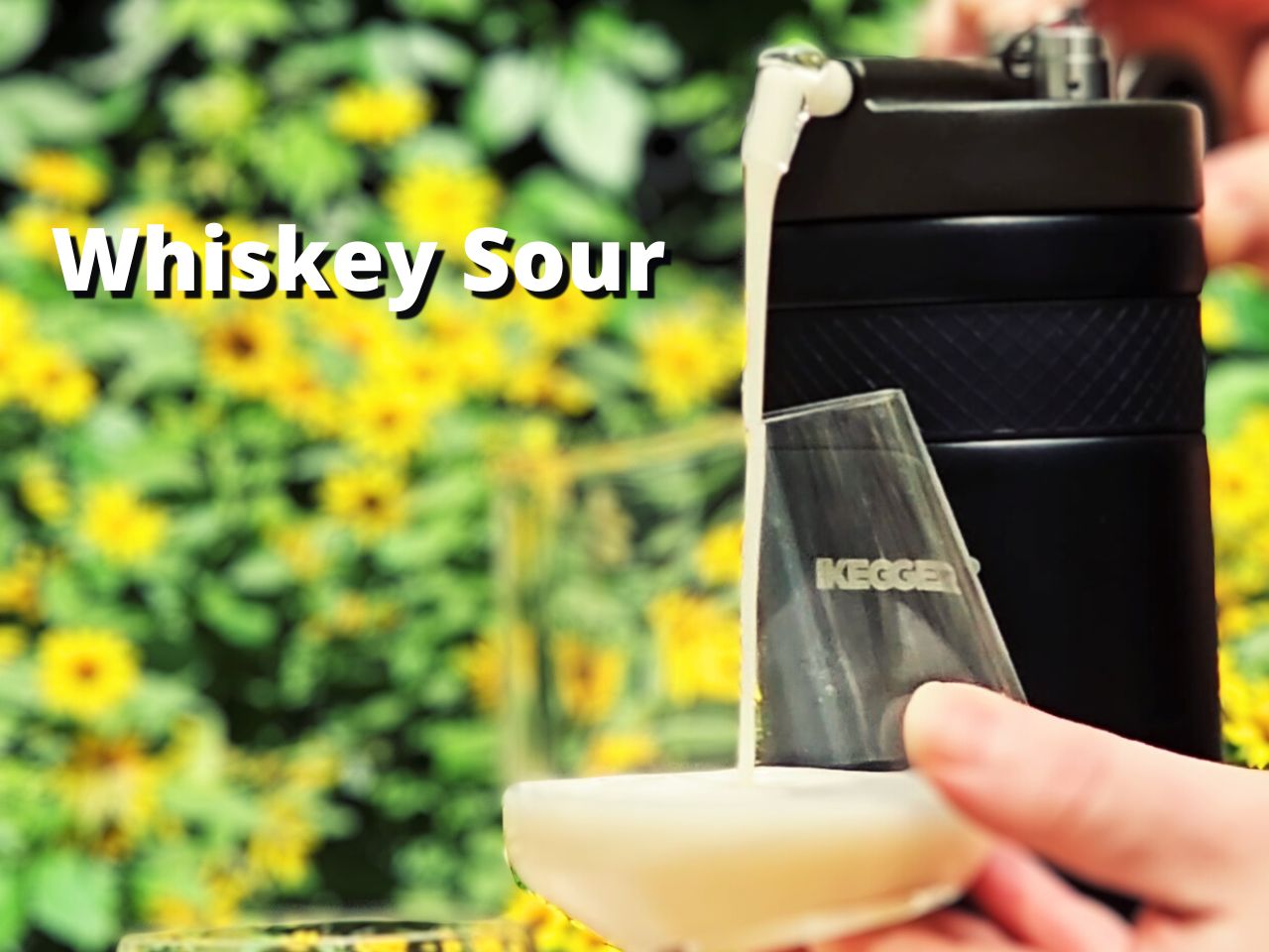 The N2Go | Instant Nitro Coffee & Cocktail Maker – iKegger | Mini keg systems, homebrew gear, cocktails on tap, and beer growlers