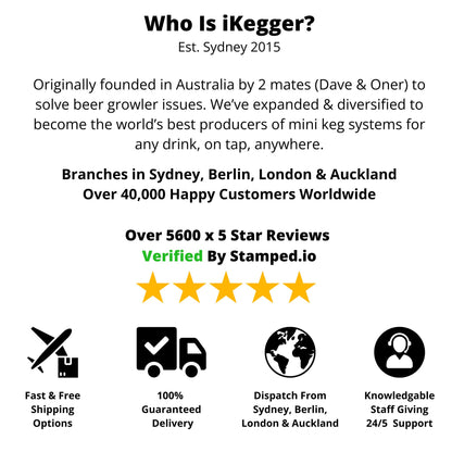 The N2Go | Instant Nitro Coffee & Cocktail Maker – iKegger | Mini keg systems, homebrew gear, cocktails on tap, and beer growlers